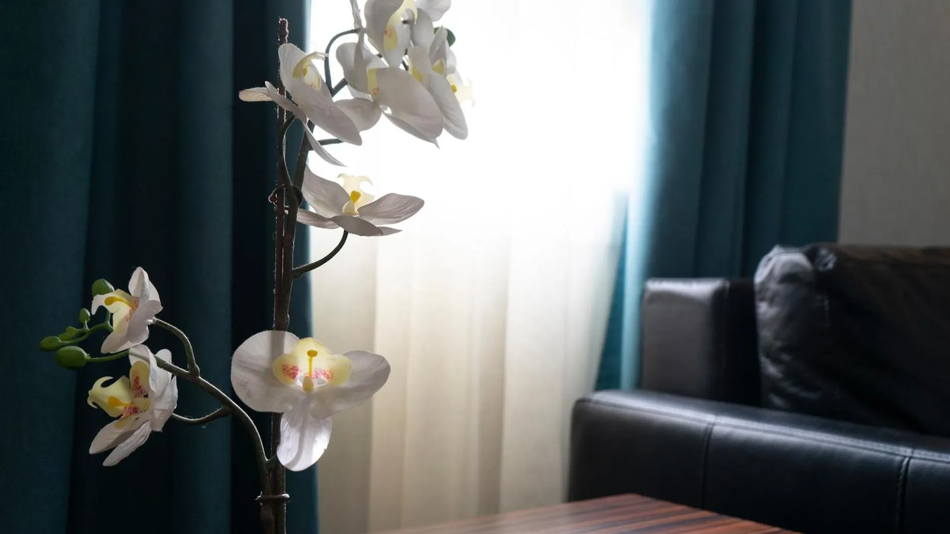 Hotel Petit Palace Tamarises Getxo